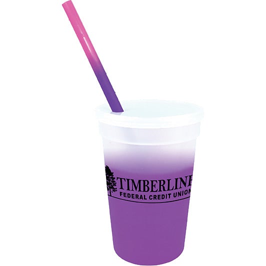 磨砂/紫色心情體育場杯吸管和蓋子套裝